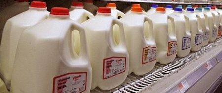 Row of milk jugs on a grocer shelf